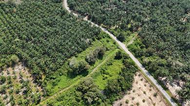 Agricultural Land in Beruas, PRK