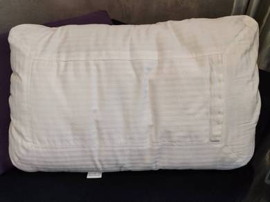 [Suzhou] Silk pillow