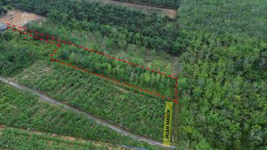 Agricultural Land in Linggi, NSN