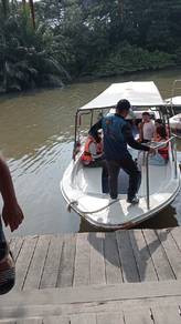 Daytrip Kawa Mangrove River + Firefly Cruise