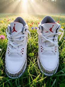 Air Jordan 3 Retro
