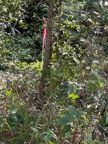 Residential Land in Dengkil, SGR