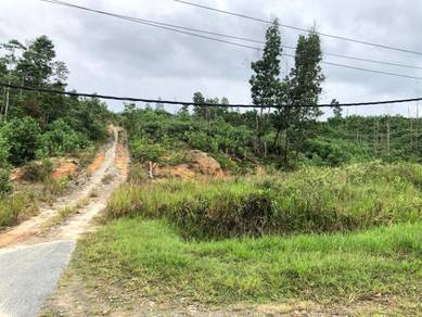 Agricultural Land in Kota Marudu, SBH