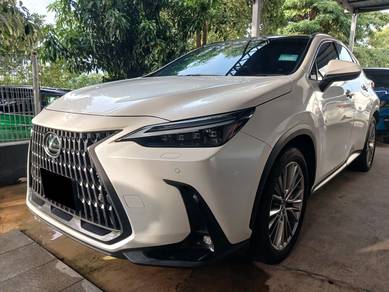 Lexus NX 250 LUXURY in Klang, SGR