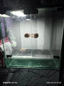 aquarium 