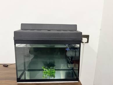 Aquarium
