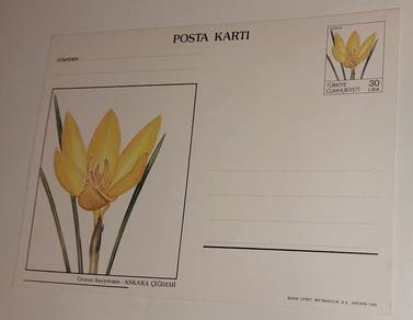 Turkiye Postcard 1988 Ankara Cigdemi Flower