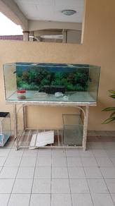 4x2ft Aquarium
