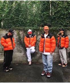 The North Face Down Jacket 2.0