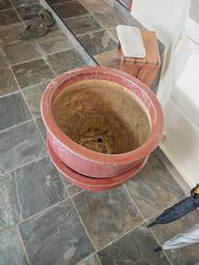 Good quality big size flowers pot 