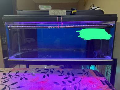 sale aquarium