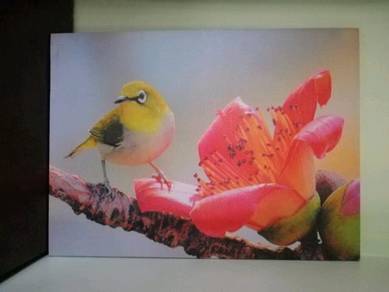 Framed Poster Bird Flower
