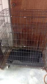 sangkar kucing