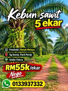 Agricultural Land in Parit, PRK
