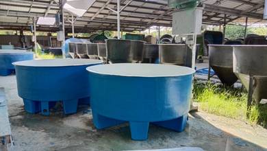 Fish tank  ( offer )