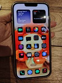 iphone 13promax 256gb