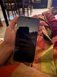 Iphone 12 PRO MAX (256gb)