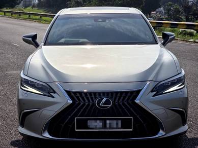 2022 Lexus ES 250 LUXURY
