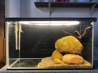 Aquarium CC tank and filter
