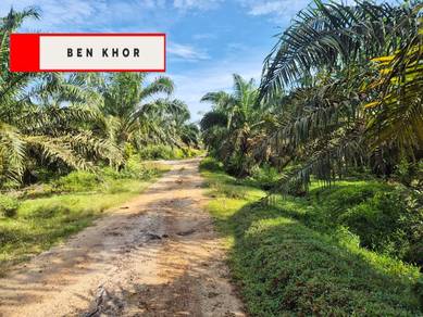 Agricultural Land in Bandar Baharu, KDH