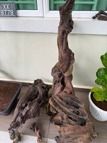 Kayu Hanyut Driftwood