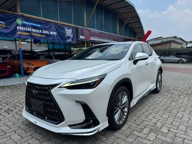 Lexus NX 250 LUXURY in Taman Melawati, KUL