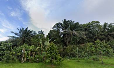 Residential Land in Kulai, JHR