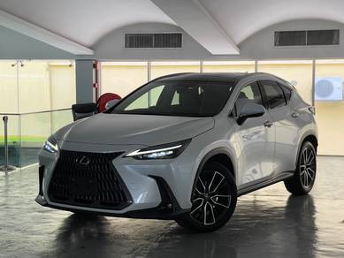 Lexus NX 250 LUXURY in Setapak, KUL