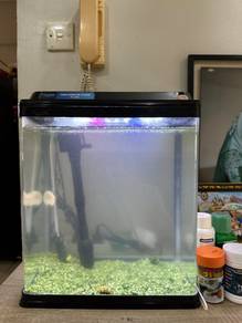 Aquarium Full Set With Oxygen And Filter