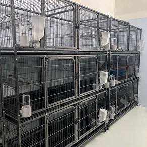 Sangkar Kucing Terpakai Besar 6ft x 5ft