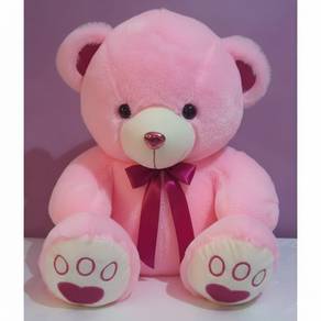 Pink Teddy Bear