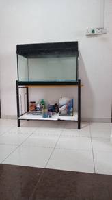 aquarium 3 feet