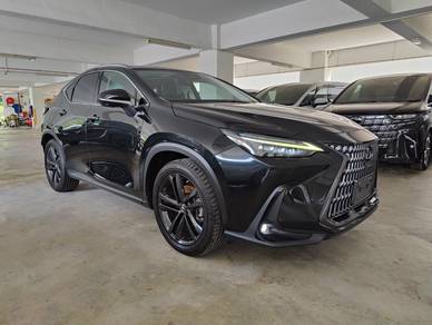 Lexus NX 250 LUXURY in Sungai Besi, KUL