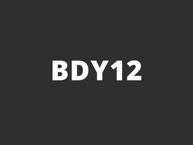 BDY12