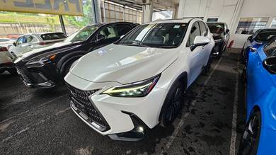 Lexus NX 250 LUXURY in Chan Sow Lin, KUL