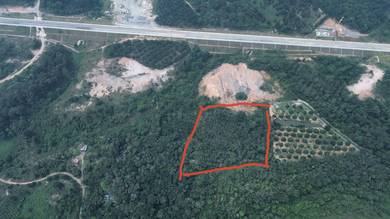 Agricultural Land in Temerloh, PHG