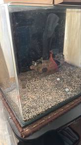 Aquarium Premium