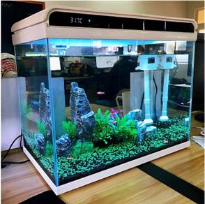 LED Colour Small FISH TANK Aquarium Akuarium ikan