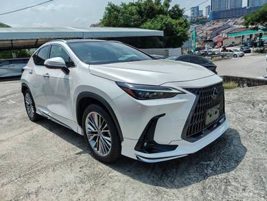 Lexus NX 250 LUXURY in Cheras, KUL