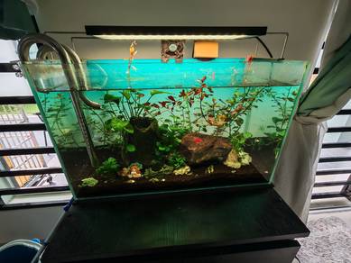 aquascape set