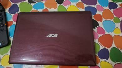 acer