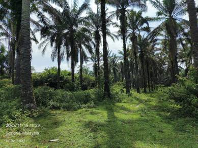 Agricultural Land in Gopeng, PRK