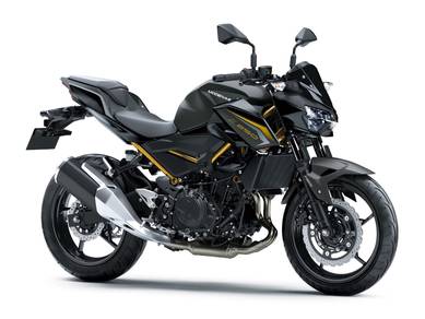 Kawasaki Z250 ABS