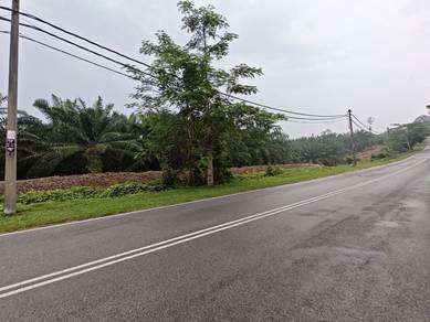 Agricultural Land in Jasin, MLK