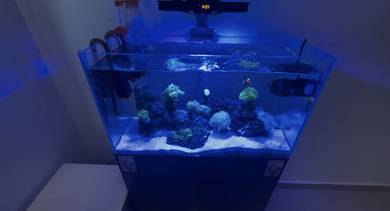 marine aquarium for sale