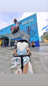 Stroller sekali alas