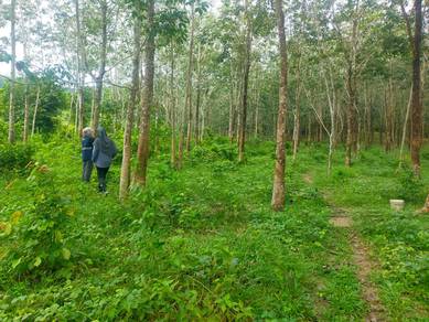 Agricultural Land in Langkawi, KDH