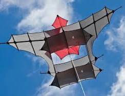 HQ Lutz Treczoks Collection Kite (Cody)
