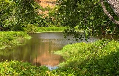 Agricultural Land in Kuala Kubu Baru, SGR