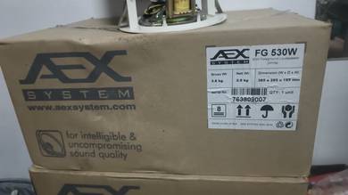 AEX FG 530W (30W Foreground Loudspeaker (White))